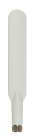 MikroTik 2.4GHz Dipole